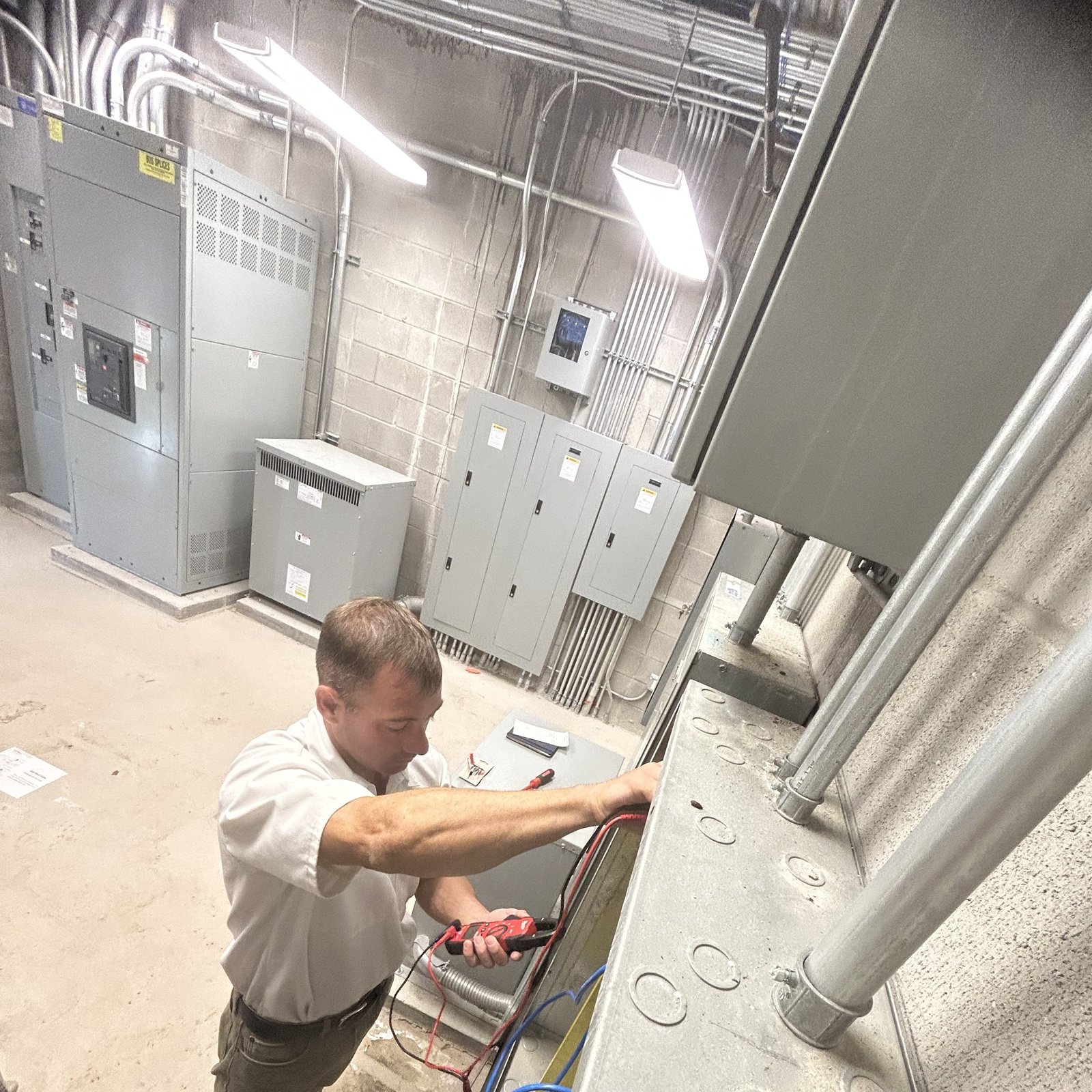 Sheep Electrical technician servicing commercial electrical equipment