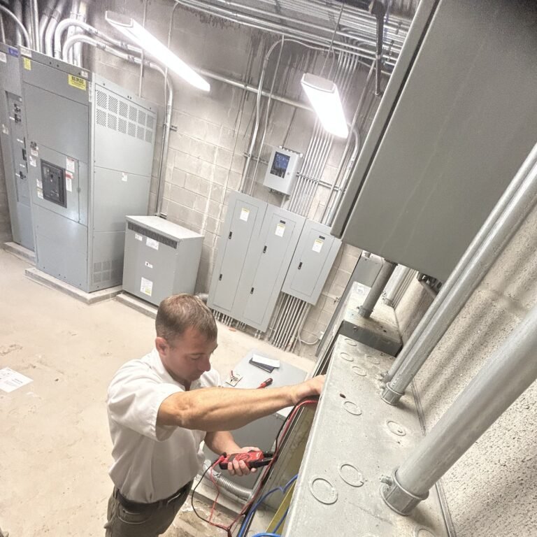 Sheep Electrical technician servicing commercial electrical equipment