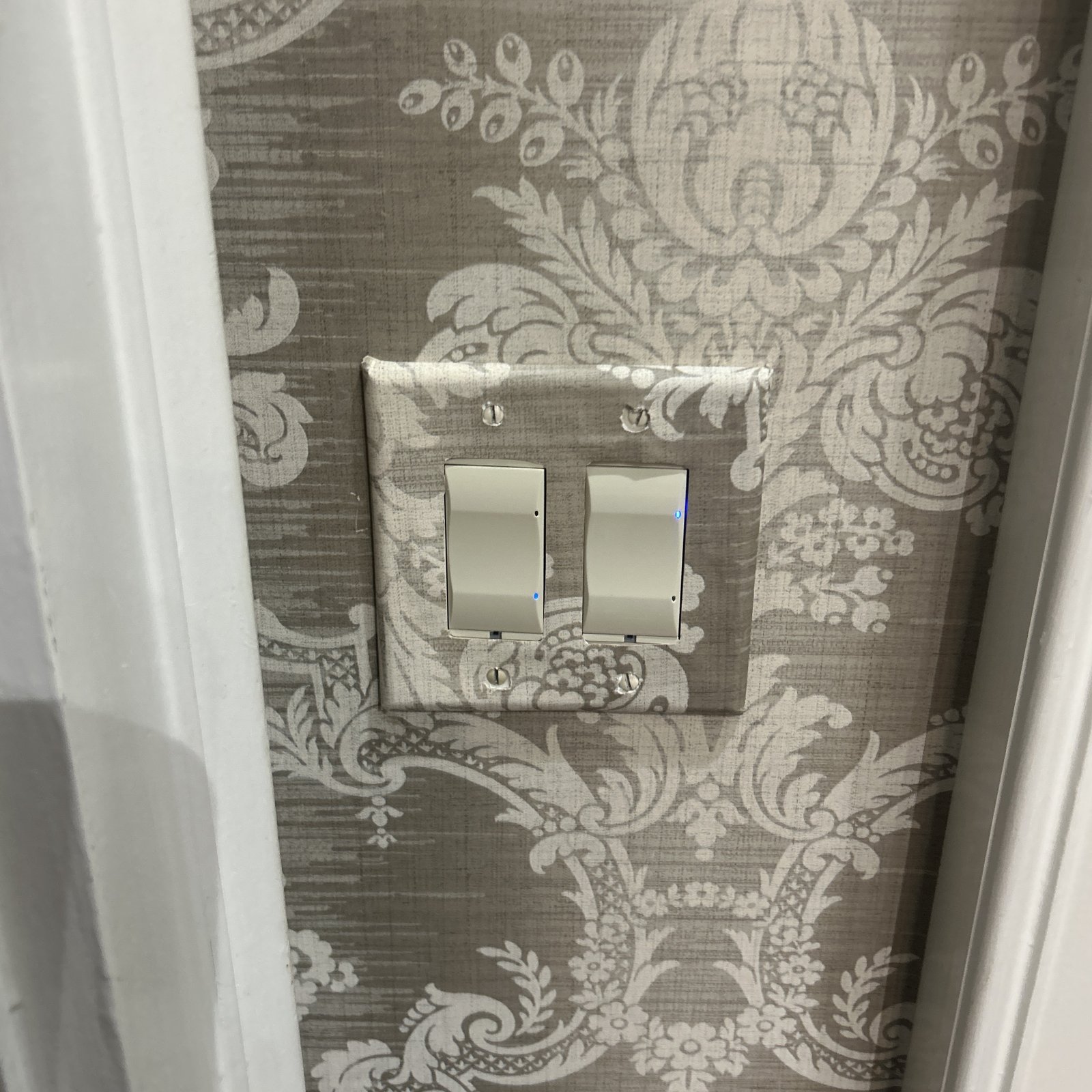 Decorative double light switch and wall plate installed on patterned wallpaper